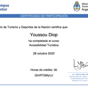 ACCESIBILIDAD_Certificado del Curso